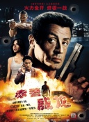 在未来之城中创造独特的城市生态